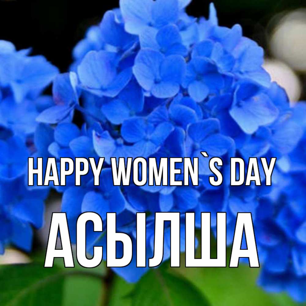 Greetings card с именем, АСЫЛША happy women`s day синие цветы Greetings with text for free download 